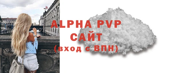 гашик Новозыбков