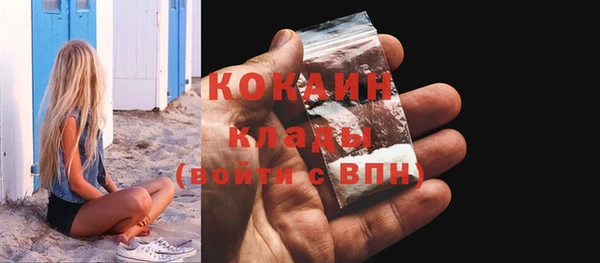 ПСИЛОЦИБИНОВЫЕ ГРИБЫ Новодвинск