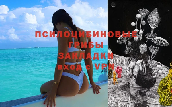 гашик Новозыбков