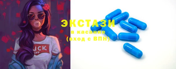 гашик Новозыбков