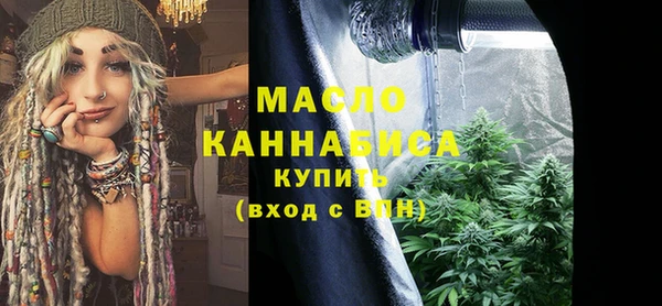 гашик Новозыбков