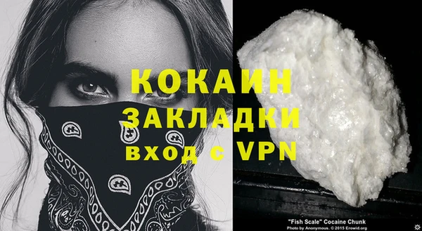 гашик Новозыбков