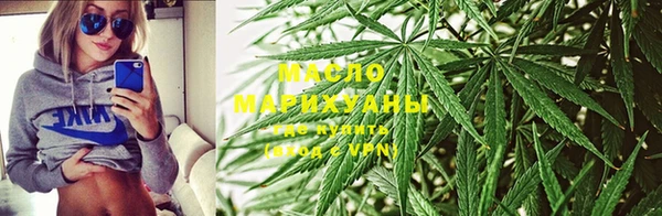 гашик Новозыбков