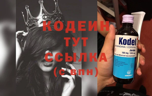 гашик Новозыбков