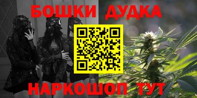 молекула духа Будённовск