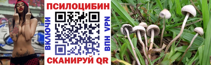 OMG как войти  Конаково  Галлюциногенные грибы Psilocybine cubensis  как найти закладки 